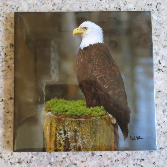 Canada BALD EAGLE Decorative Tile 6" x 6" Cork Back (225C) - Picture 1 of 5